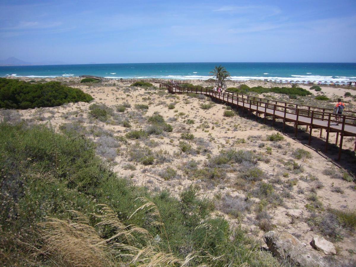 Apartament Descansa Y Disfruta De Mejores Playas Arenales del Sol
